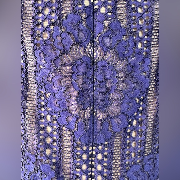 Tadashi Shoji Blue Illusion ROSINA GOWN Dress Size 14. NEW PICTURES! - Picture 7 of 16